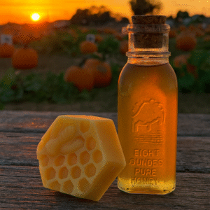 Jar of Pumpkin Blossom Honey