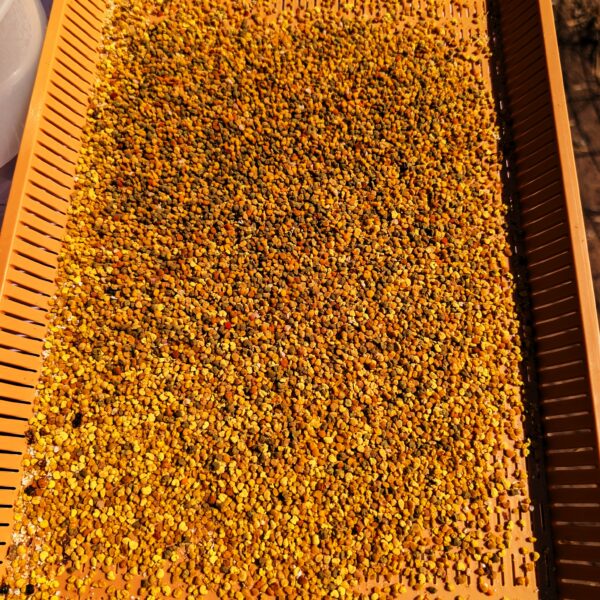 Bee Pollen
